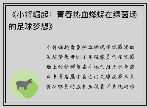 《小将崛起：青春热血燃烧在绿茵场的足球梦想》