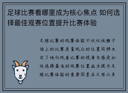 足球比赛看哪里成为核心焦点 如何选择最佳观赛位置提升比赛体验