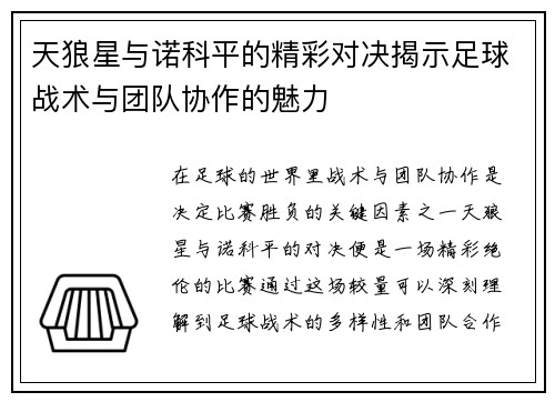 天狼星与诺科平的精彩对决揭示足球战术与团队协作的魅力