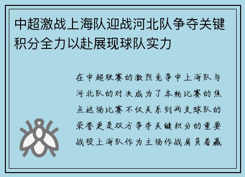 中超激战上海队迎战河北队争夺关键积分全力以赴展现球队实力