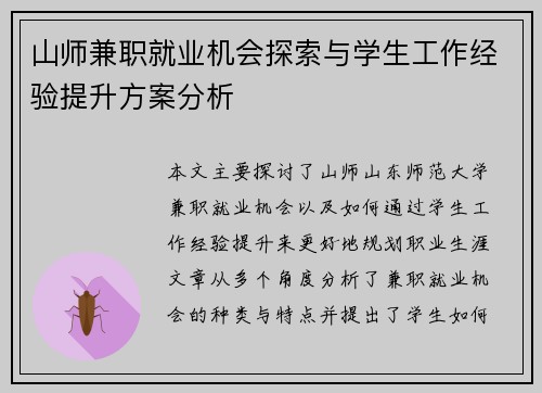 山师兼职就业机会探索与学生工作经验提升方案分析