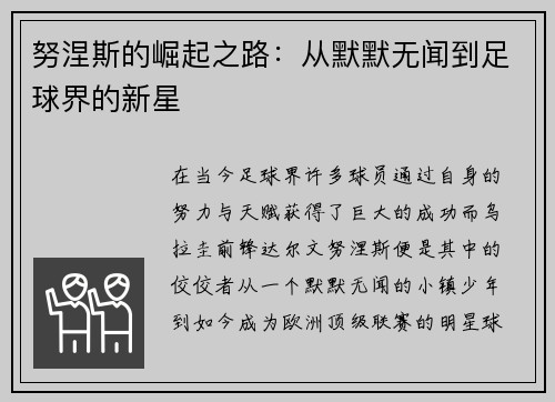 努涅斯的崛起之路：从默默无闻到足球界的新星