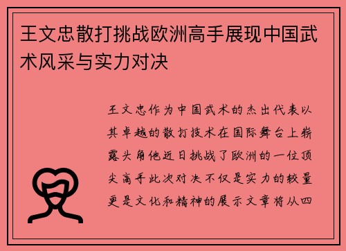 王文忠散打挑战欧洲高手展现中国武术风采与实力对决