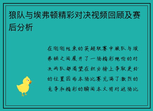 狼队与埃弗顿精彩对决视频回顾及赛后分析