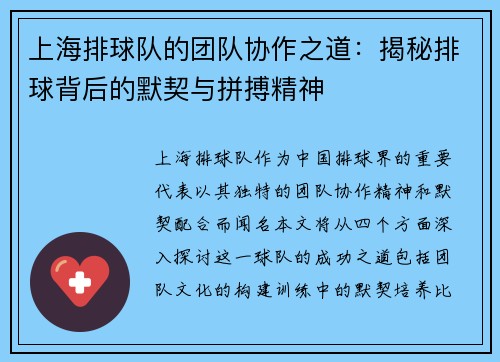 上海排球队的团队协作之道：揭秘排球背后的默契与拼搏精神
