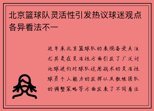 北京篮球队灵活性引发热议球迷观点各异看法不一